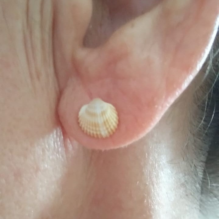 Clous d'oreilles en coquillage