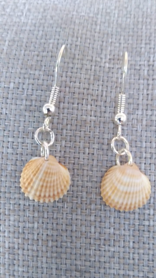 Boucles coquillage