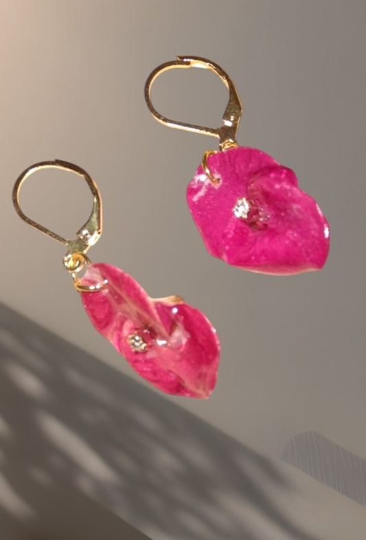 Boucles fleur euphorbe