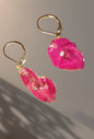 Boucles fleur euphorbe