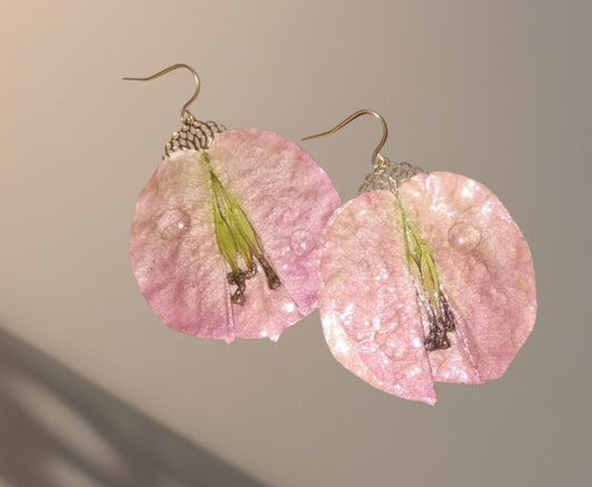 Boucles Bougainvilliers